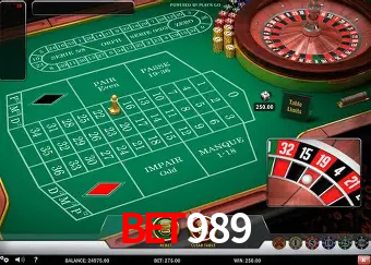 Descubra o Mundo do Cassino Online com bet989